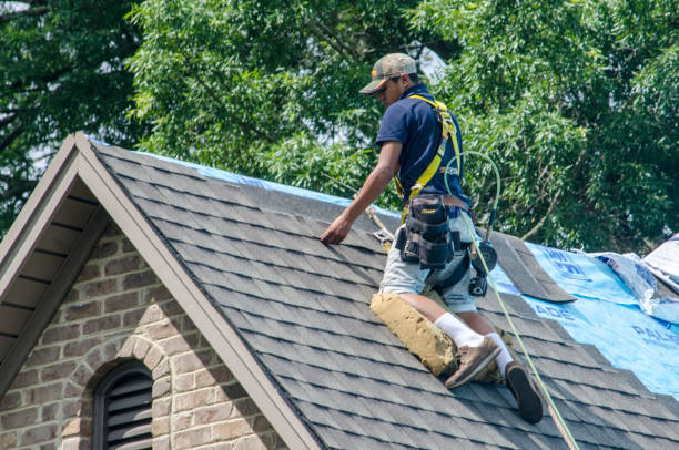 Roof Gutter Cleaning in Safford, AZ